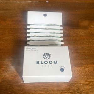Bloom Room 25 ct LED Mini Green Wire w/ Warm White String Lights